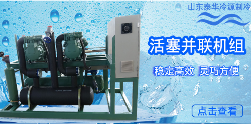 忻州比澤爾半封閉活塞式二並聯壓縮機組