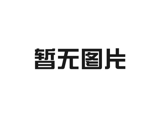 常州比澤爾半封閉活塞式二並聯壓縮機組